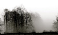 NEBEL